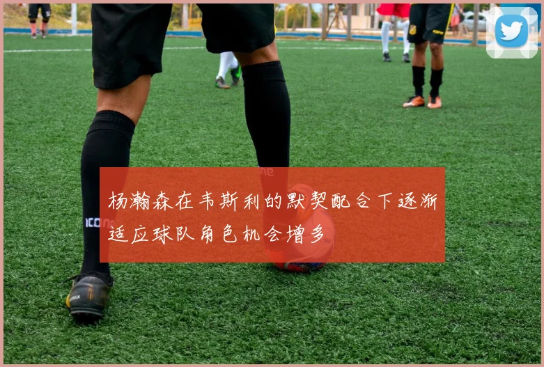 杨瀚森在韦斯利的默契配合下逐渐适应球队角色机会增多
